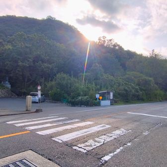 さほど見所なく、成り行きで進んで､､､
かなり下りてしまい､､､

とうとう、国道430号線（標高3m）まで下山してしまった。
折り返して、また登ります💦