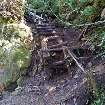 金精峠まで一気に高度を上げる道のり。
去年一度通っているせいか、今回はそれほどキツく感じませんでした