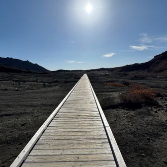 砂千里ケ浜の木道歩きが気持ちいい。