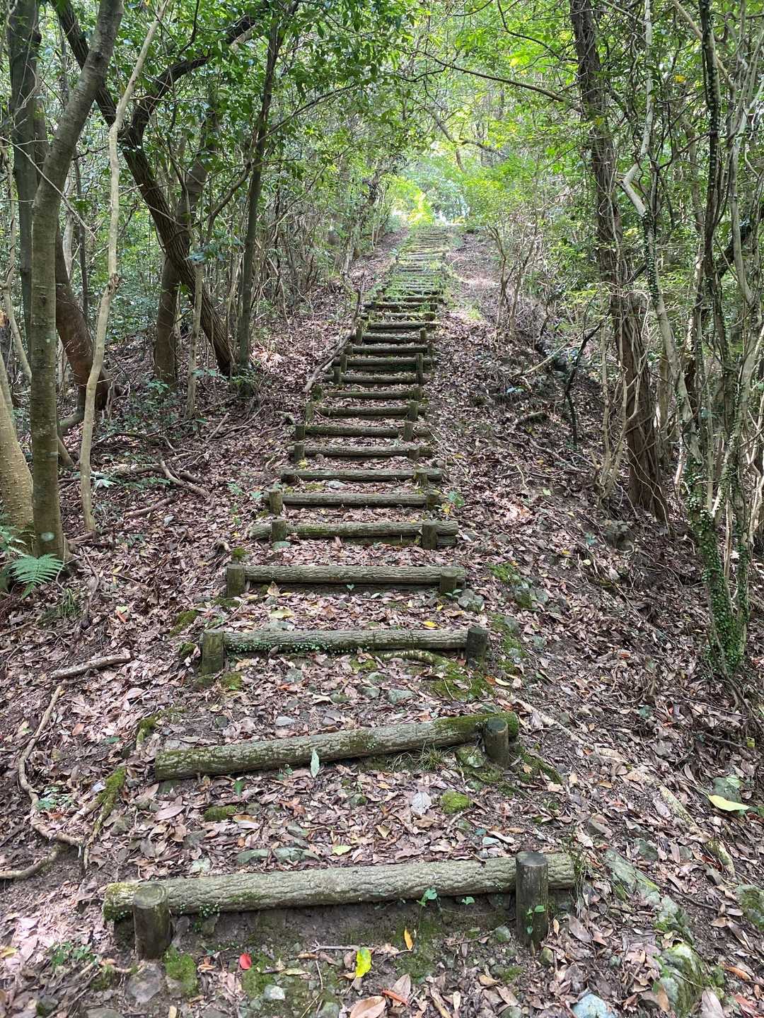 高舞登山-茶屋峠-金比羅山 往復コースの写真