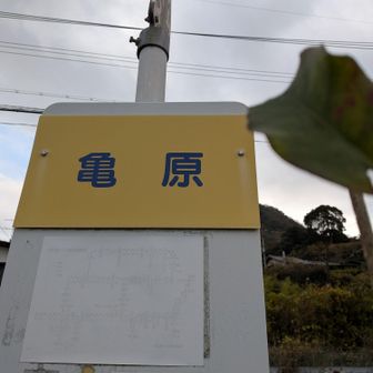 降りた。ここからバス通りバスは2時間毎、島に居る間バス見なかった