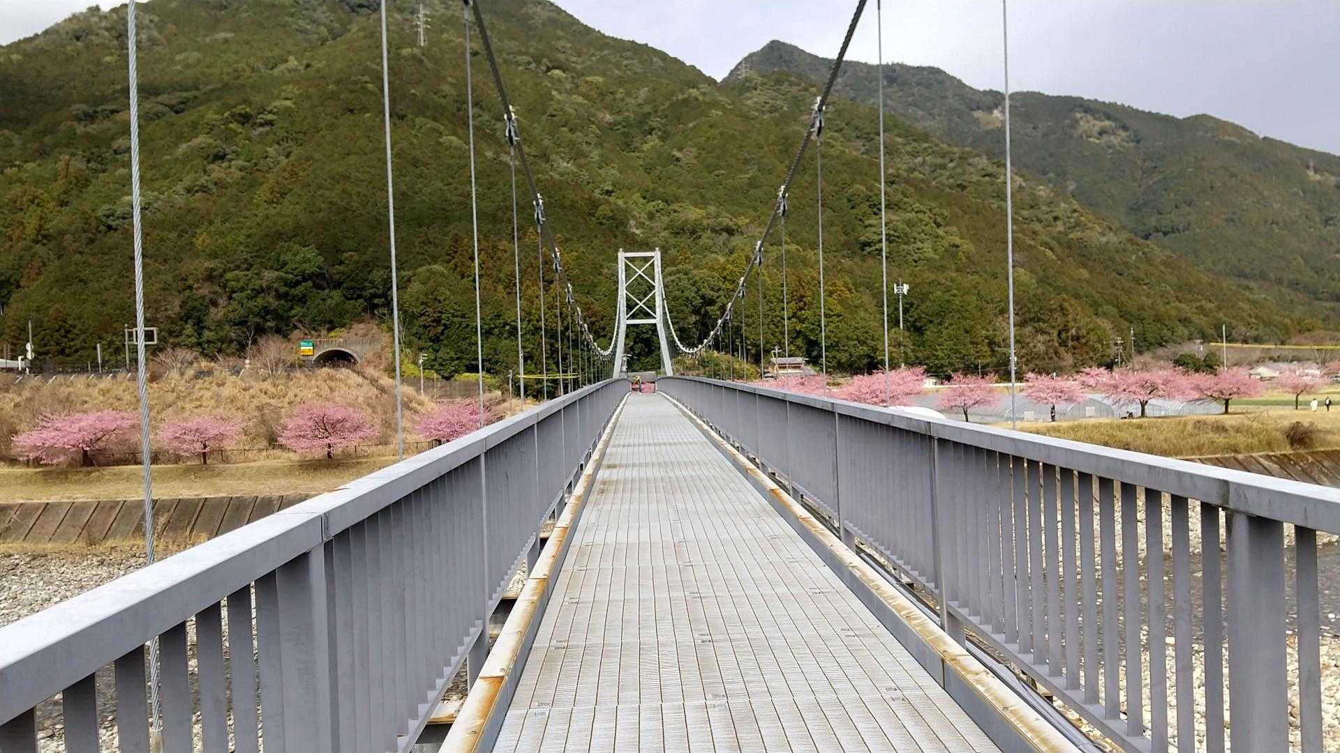 吊り橋が有りました