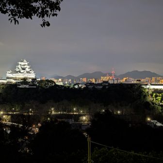 姫路城はこちら男山方向からが、
３つ全ての小天守を従えているのが見える
最も優雅でどっしりと見える方向だ