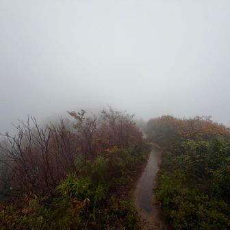 足を伸ばしてしまいました😂⛰️