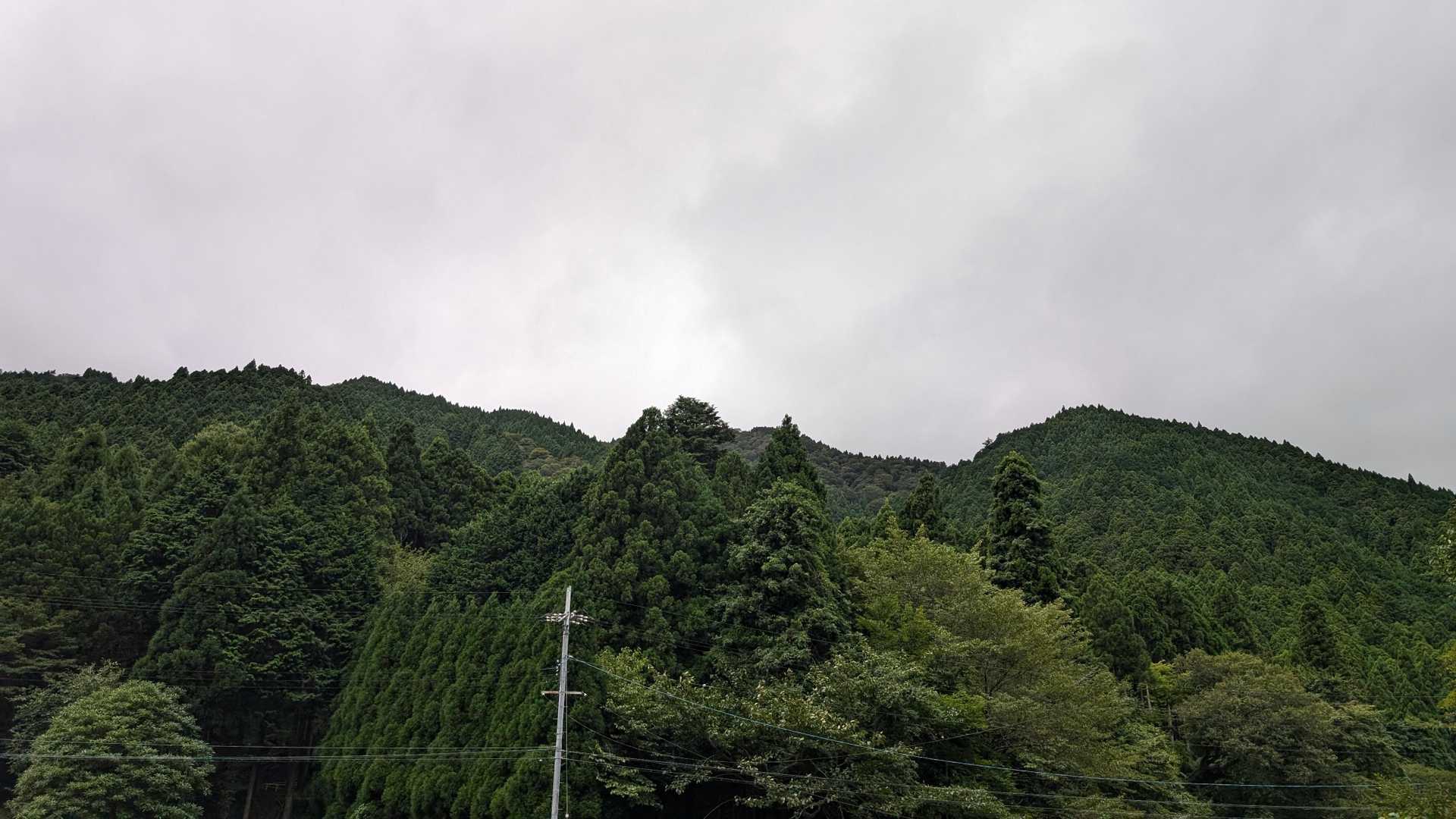 今日のベストショットはこれ
山容がしっかり見えないから登山口から📸