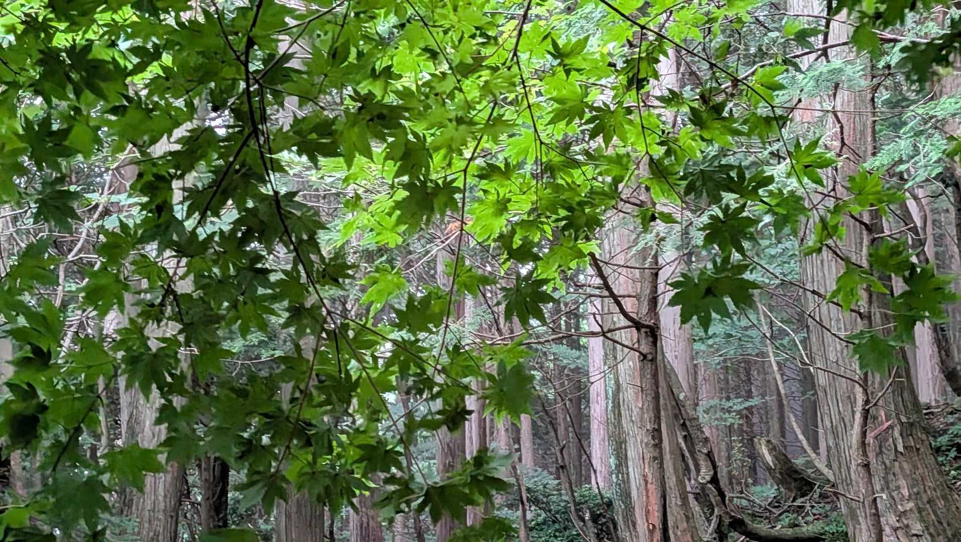 ここから、少し涼しくなりました😊
やはり蒸し暑い💦