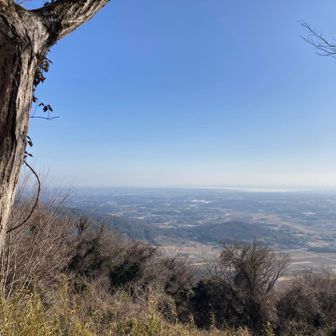 もぐもぐ処からのながめ