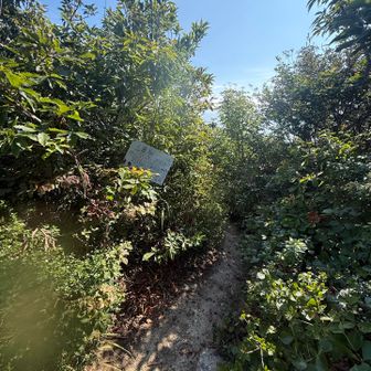 絶景スポットの看板に従って進む