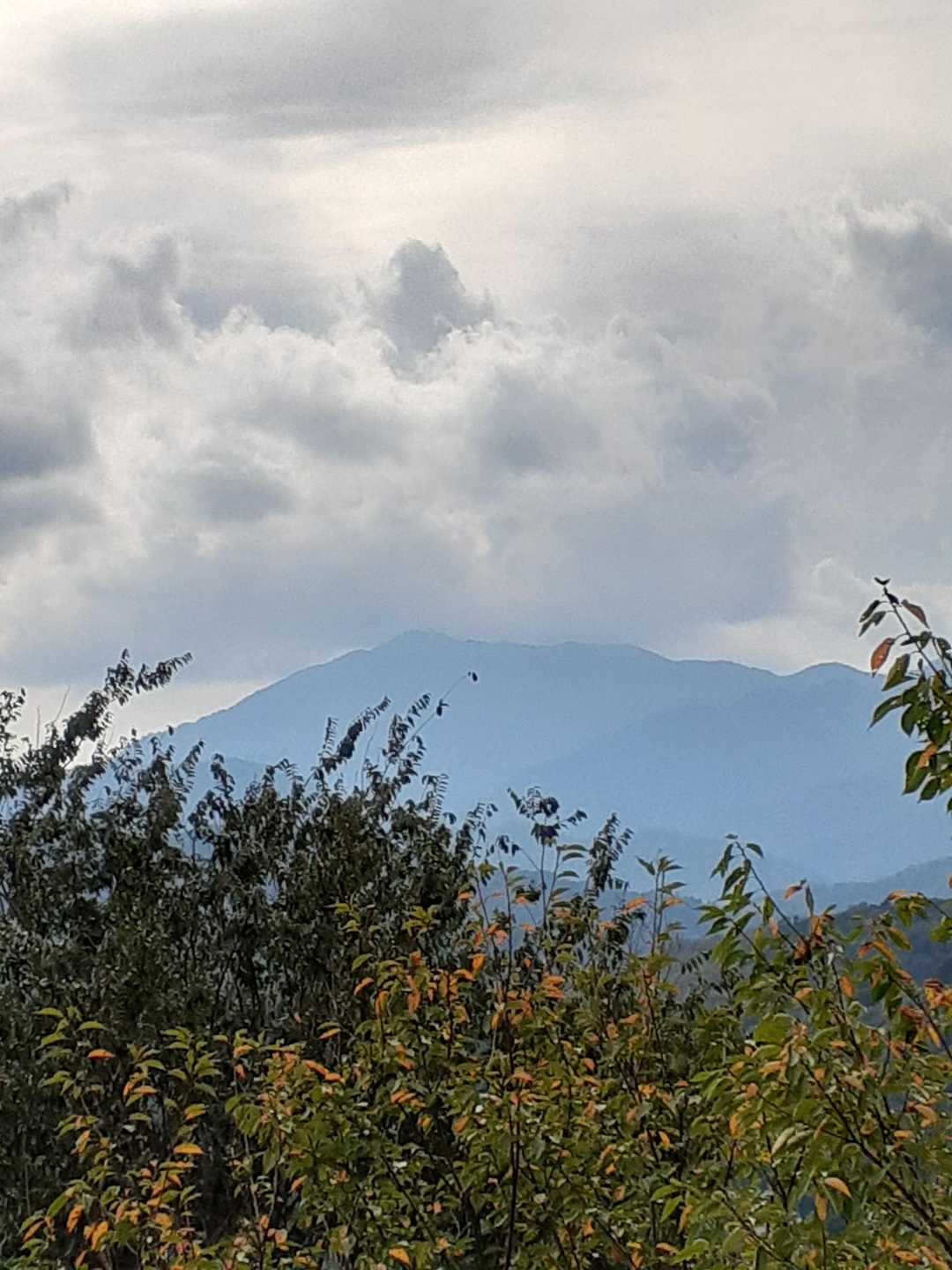 大山