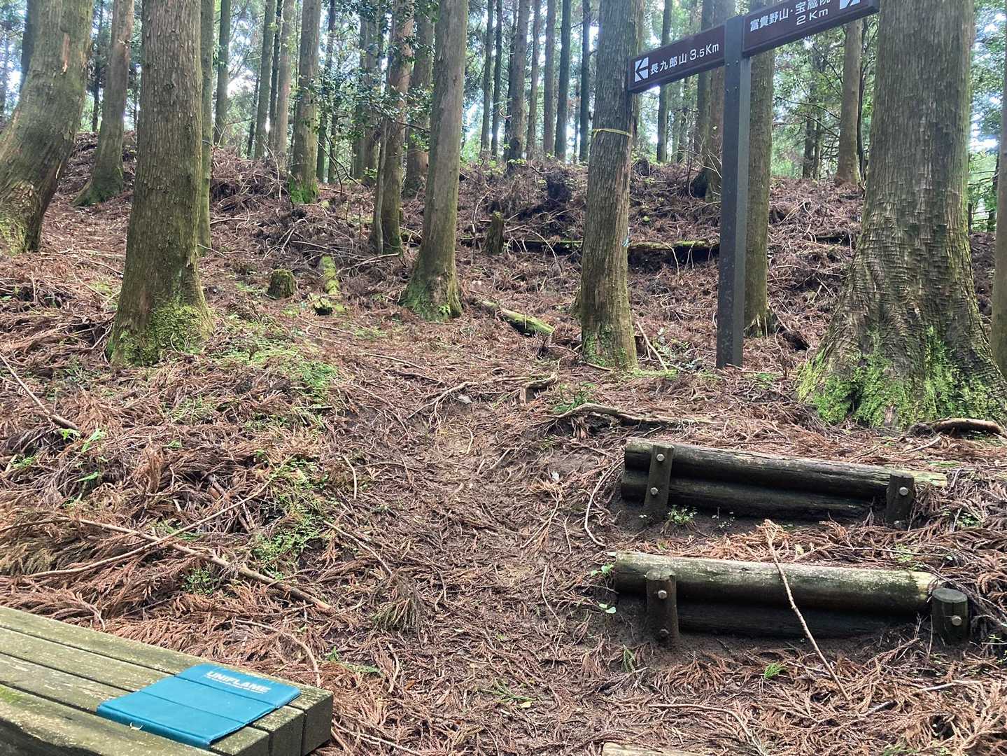 途中のベンチで座布団の忘れ物。