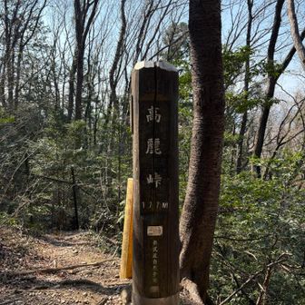あっという間に高麗峠
でも嘘です。ここまでは1回か2回ぐらいバテを感じました😅