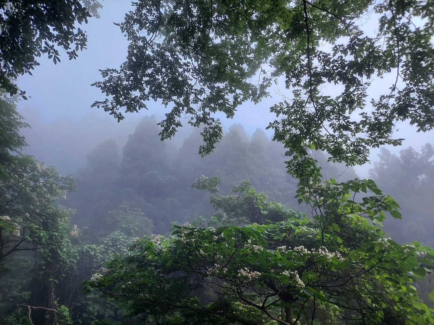 槙山 往復コースの写真