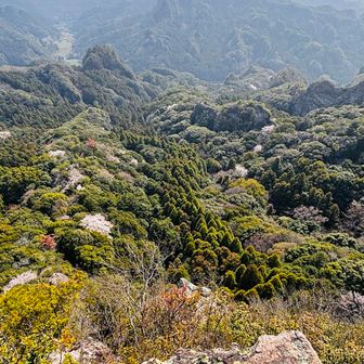 一望岩からの眺めです。
山肌にチラホラ山桜も🌸
