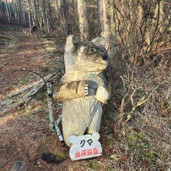 クマさん