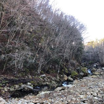 内川支流　鷲の平川
ゴロゴロ石と岩🪨