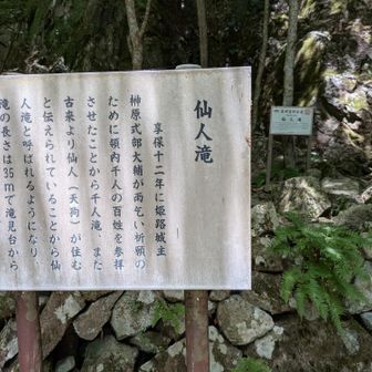 仙人滝に到着  
標識の約2倍かかってる😂