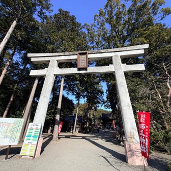 最初は曇ってた、というか雪がちらついていたけどぱあーっと陽が差してきてこんなに晴れた🌞