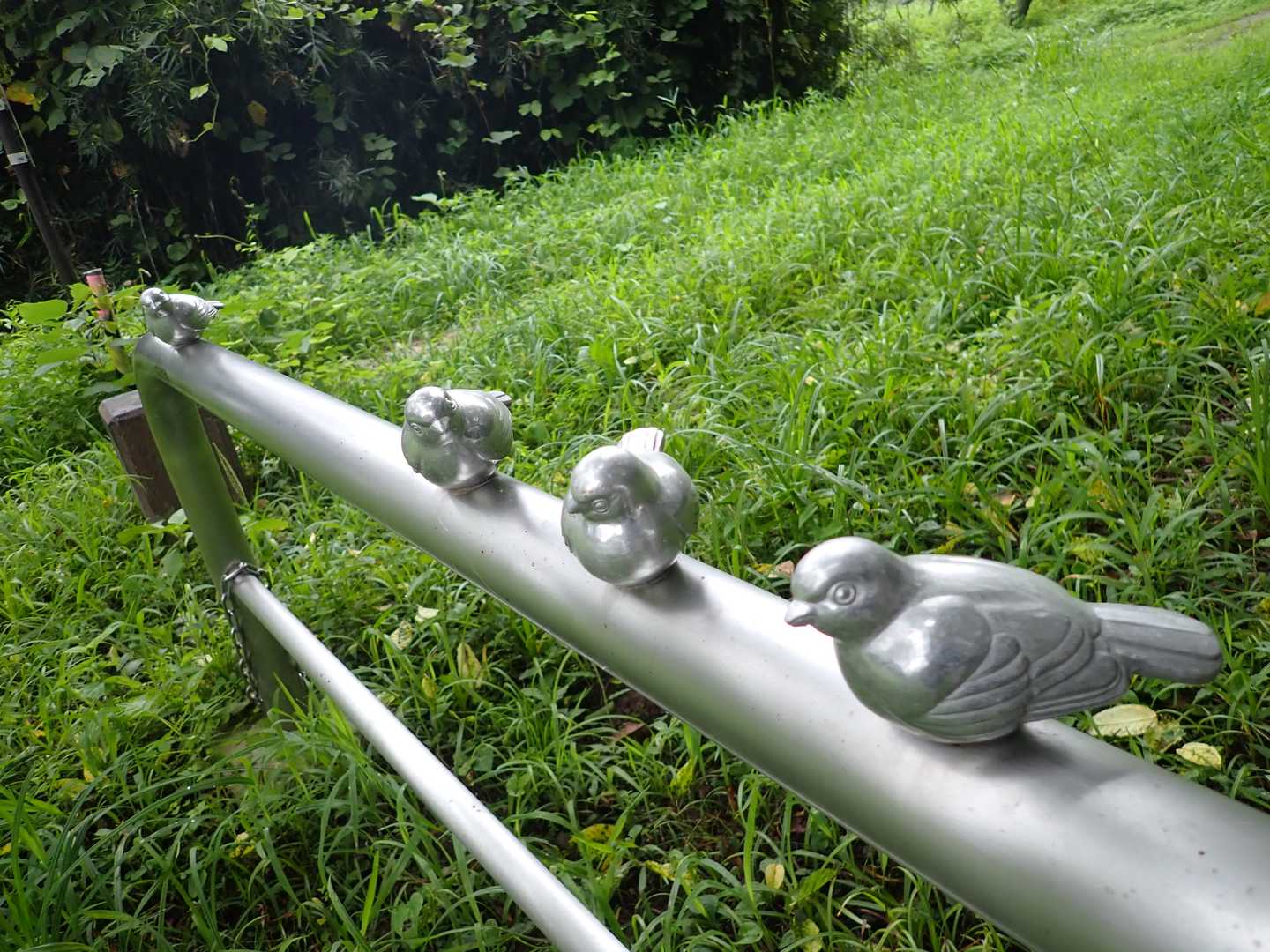 端っこで見守る親鳥？