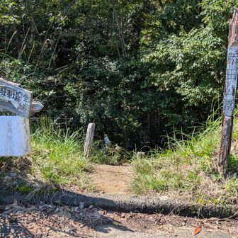 ↑此処から下ります。
直ぐに🦌鹿２頭と遭遇。
添田公園方面へ…