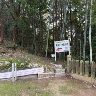神社本堂の右側にルート入り口