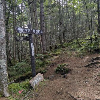 船山十字路との分岐