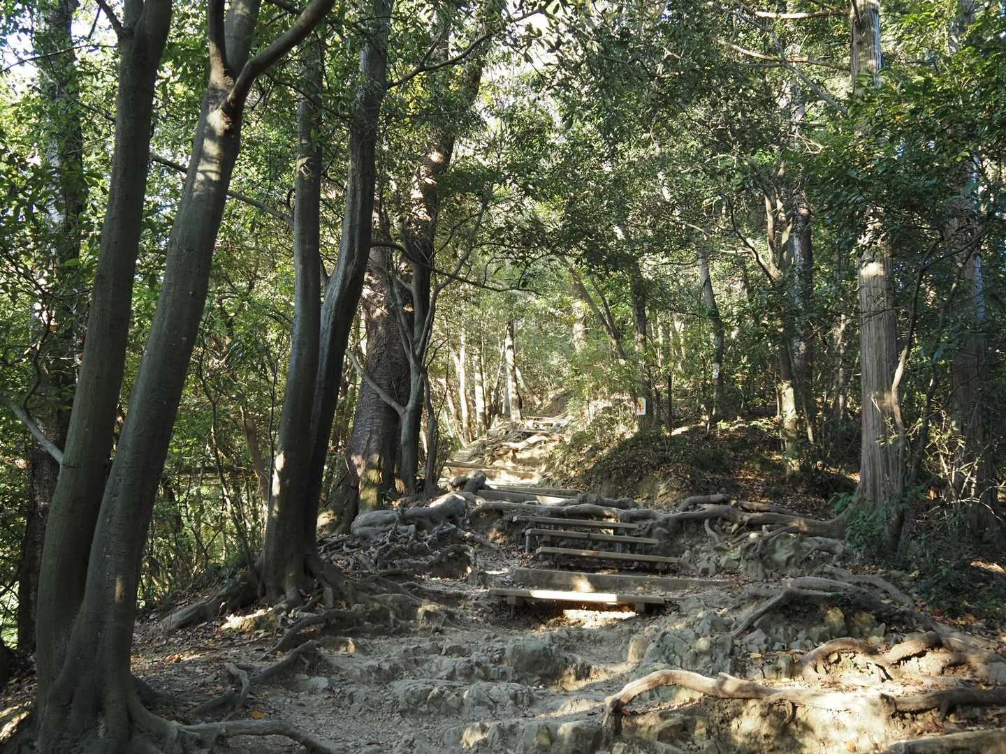 稲荷山コースで