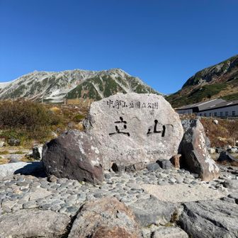 恒例