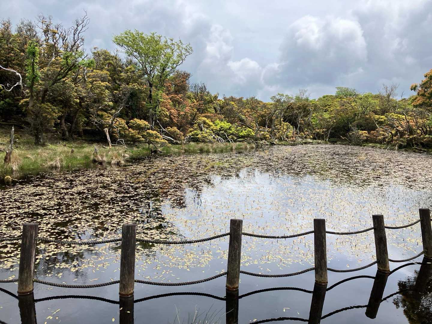 猫越岳の池