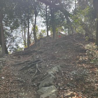 早くもトップランナーが降りてきた。怪物だ。すれ違いで選手たちに迷惑をかけないように、一段ギアを上げる。
去年、あのベンチを師匠は無事通過。リベンジは果たした。今回は暑さの中での、メンタルコントロール。速さではなく、自制できるかが問われている。