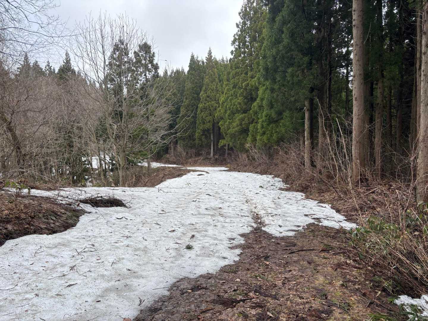 所々雪あり