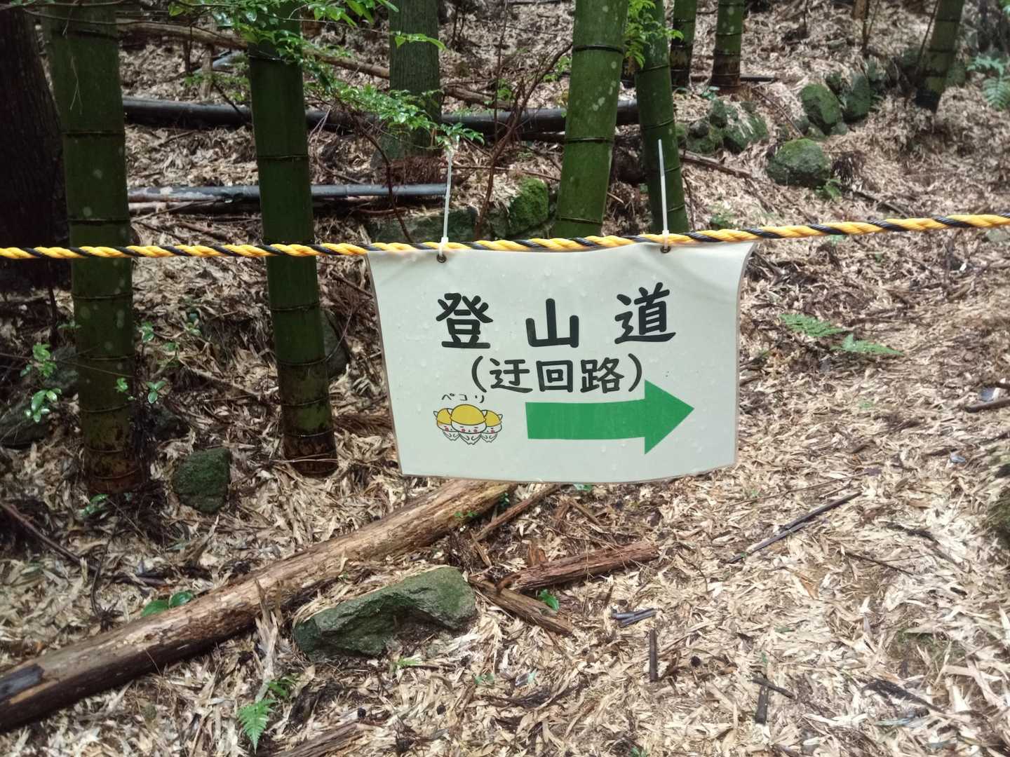 迂回路は分かりやすく表示されているので問題なく通れると思います。