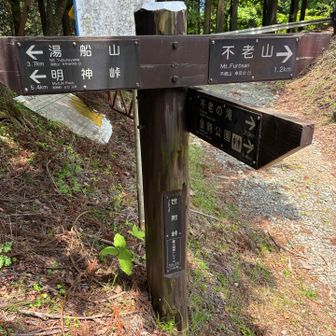 お昼を食べて、世附峠に到着
綺麗なトイレがありました
ここから不老山に登っていきます！