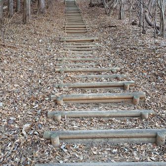 ２０km歩いてきたあとのこの階段は～笑