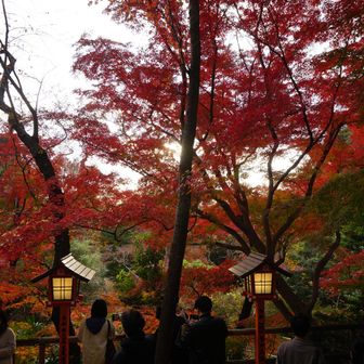 ２度目のビューポイント👍