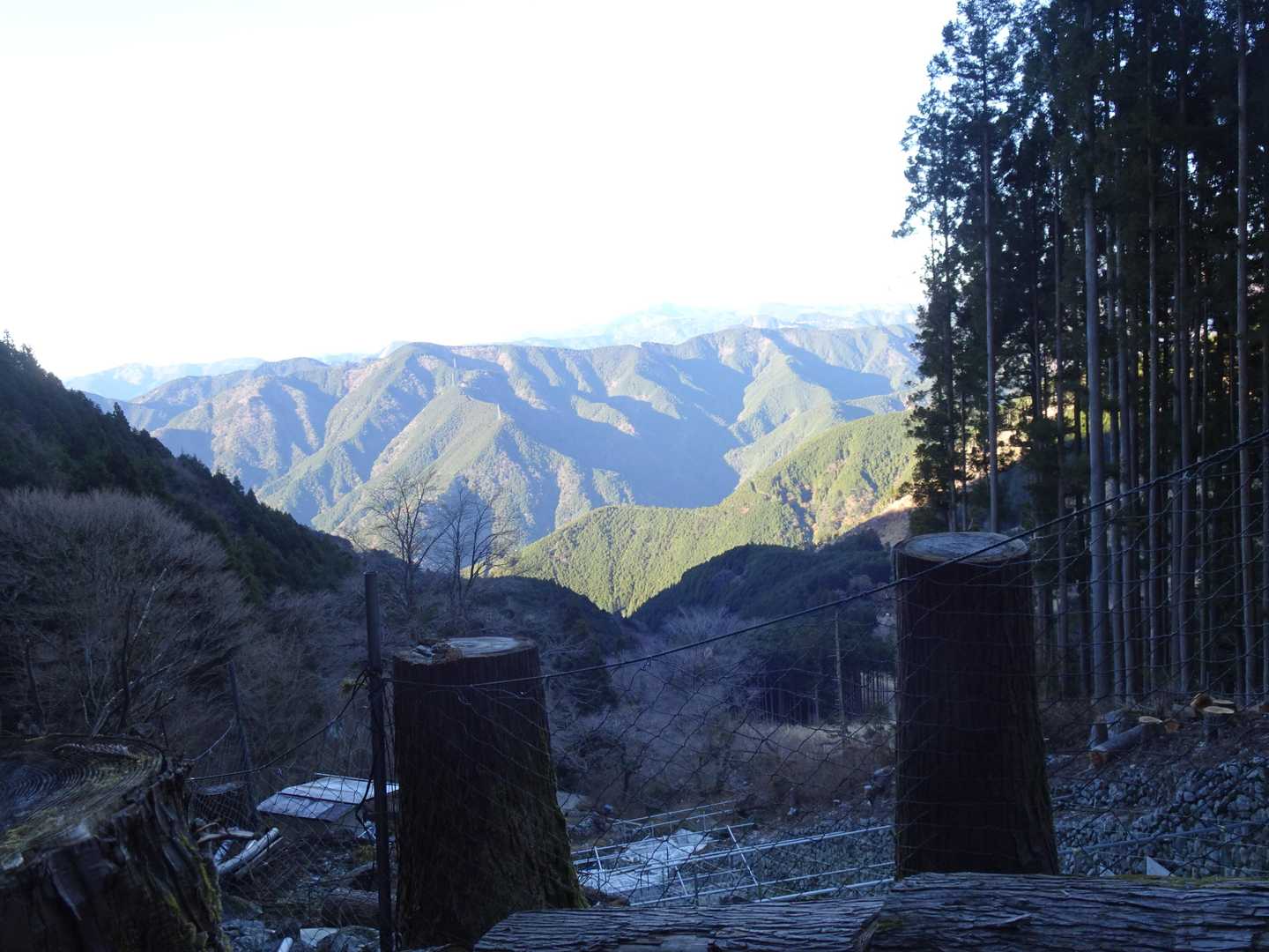 ワサビ田から西方面