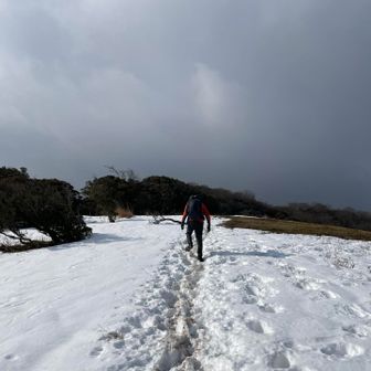風は少しあるけど晴れるとロンTで歩ける気温