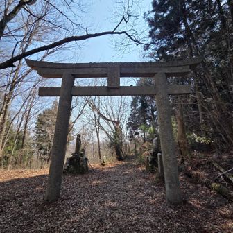三頭越の鳥居さん
くぐって進む