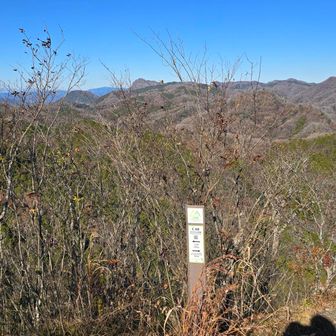 山頂着、後ろに奥久慈男体山