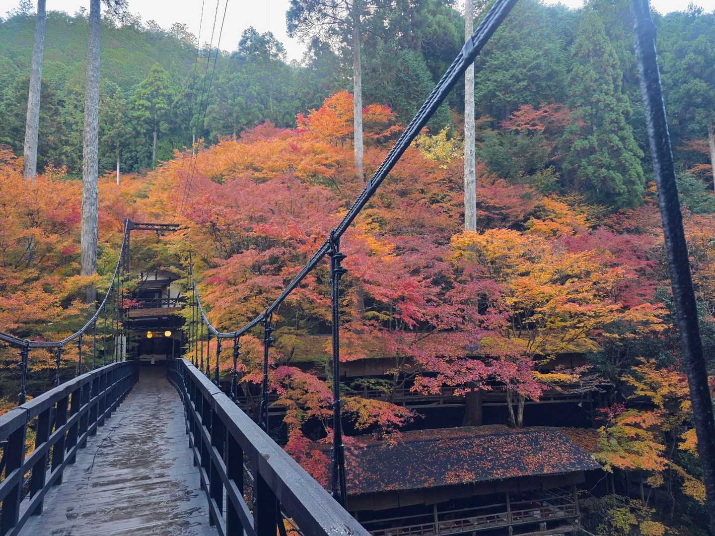 鷹峯源光庵前バス停-上ノ水峠-仏栗峠-槙ノ尾バス停-清滝バ 縦走コースの写真