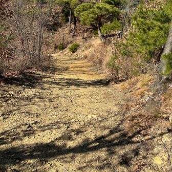 御柱を社殿まで引き上げて行く坂。💪💪💦💦
