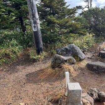 30分で横手山山頂⛰️到着