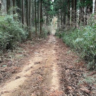 途中、こんな箇所もあります