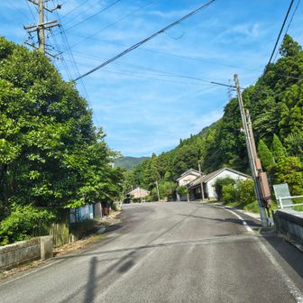 坂下集落着きました
林道は特に見所なし、羽虫が多すぎなんよ😅