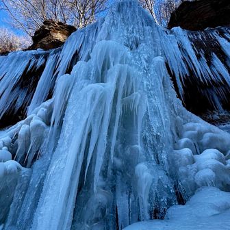 モンスター成長中❤️