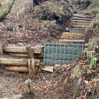 割ときつめの階段でした。階段使わず、横の隙間を登って体力温存しました。