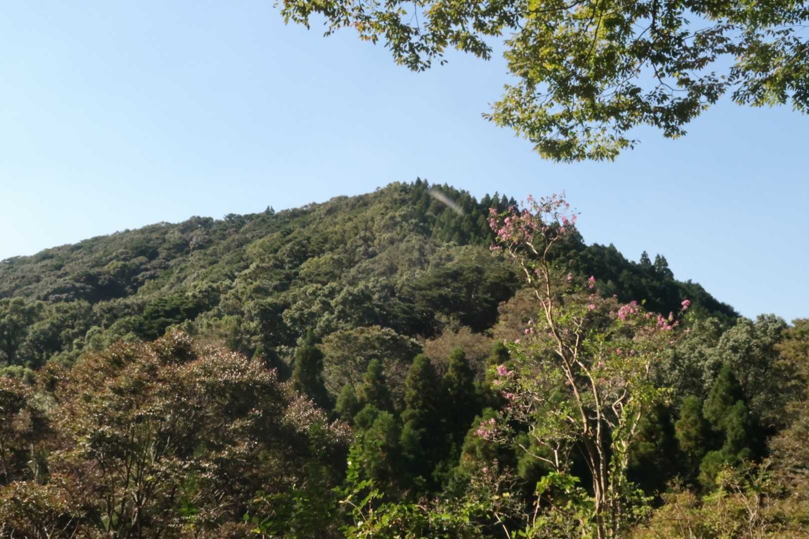 高良山の写真