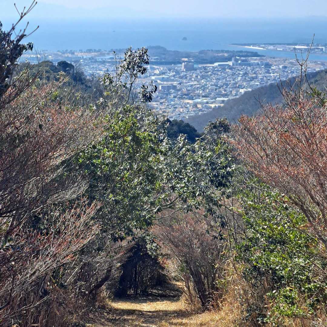 おにぎり😁と海