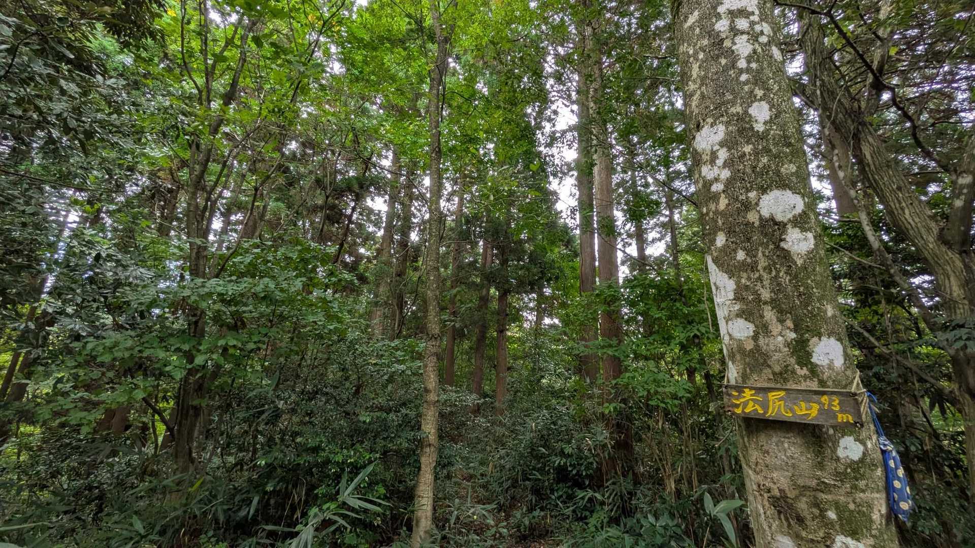 法尻山登頂😉景色は観れない場所でしたが空気うまし😊