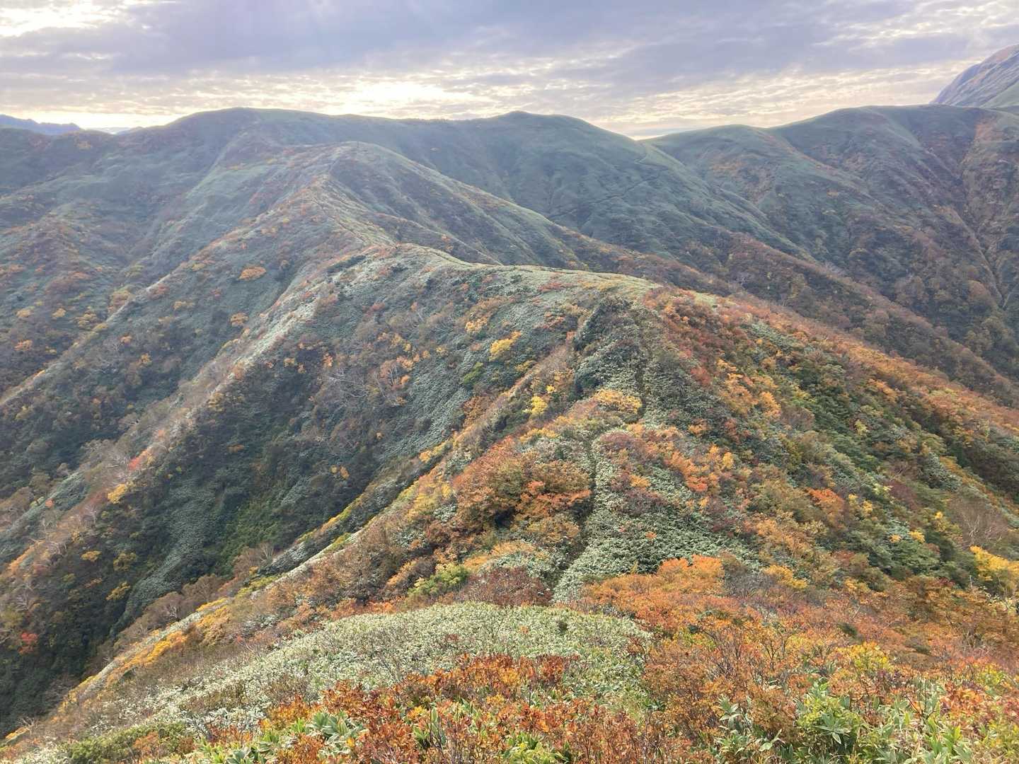 旭原登山口-大源太山-七ッ小屋山-シシゴヤノ頭 周回コースの写真
