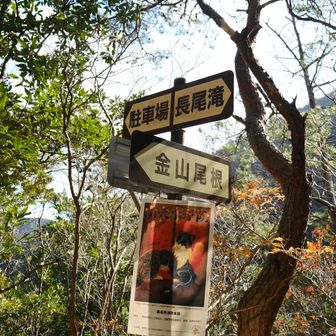 下ってきましたー